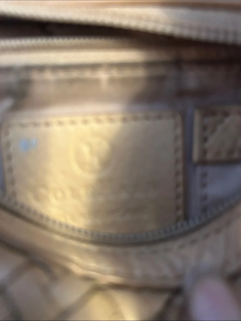 Cole Haan Hobo Leather Bag